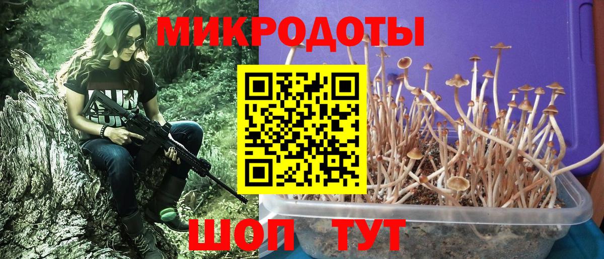 Галлюциногенные грибы MAGIC MUSHROOMS Тобольск